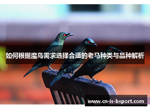 如何根据魔鸟需求选择合适的老马种类与品种解析
