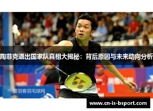 陶菲克退出国家队真相大揭秘：背后原因与未来动向分析