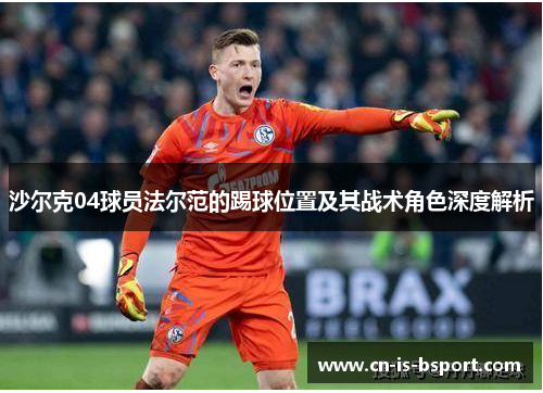 沙尔克04球员法尔范的踢球位置及其战术角色深度解析